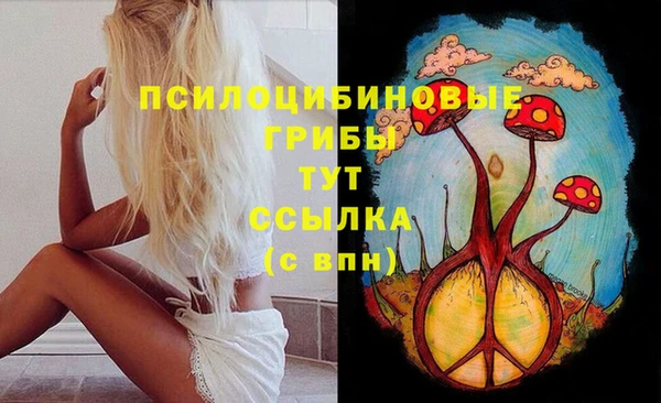винт Кинешма