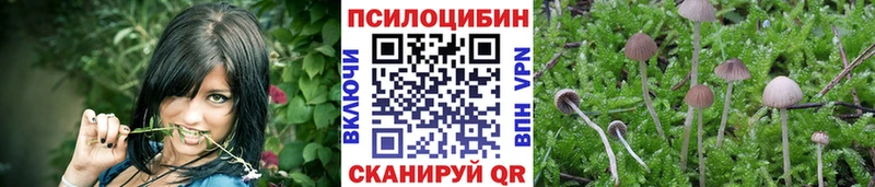 Купить  Ивдель  Псилоцибиновые грибы прущие грибы 